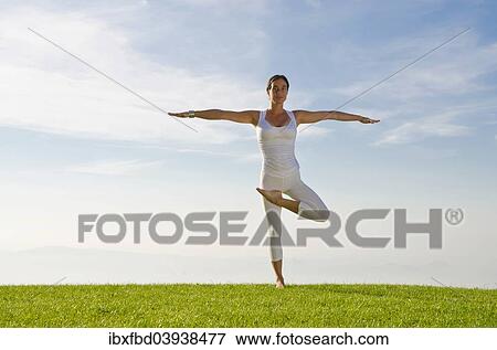 "Young woman practising Hatha yoga, here the pose vrikshasana, tree" View Large Photo Image Stock Photo - "Young woman practising Hatha yoga, here the pose vrikshasana, tree". Fotosearch