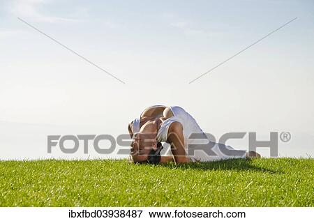 "Young woman practising Hatha yoga, here the pose matsyasana, fish" View Large Photo Image Stock Photo - "Young woman practising Hatha yoga, here the pose matsyasana, fish". Fotosearch