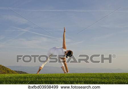 "Young woman practising Hatha yoga, here the pose parivritta trikonasana, twisted triangle" View Large Photo Image Stock Photo - "Young woman practising Hatha yoga, here the pose parivritta trikonasana, twisted triangle". Fotosearch