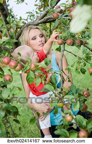 Stock Photo - Young woman with a toddler in the apple garden. Fotosearch