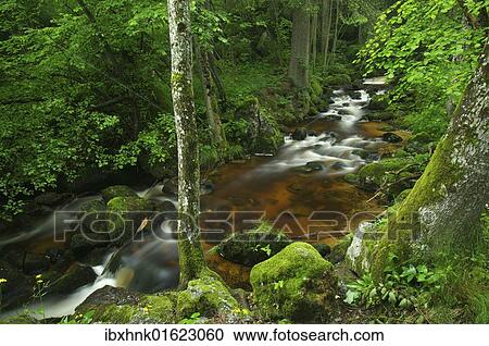 "Ysper River, Ysper Gorge and forest, Austria, Europe" View Large Photo Image Stock Image - "Ysper River, Ysper Gorge and forest, Austria, Europe". Fotosearch
