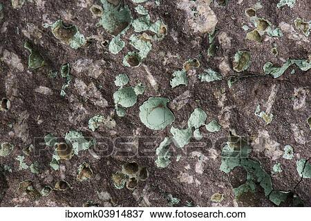 "Zeolite druses, minerals, Faroe Islands, Denmark, Europe" View Large Photo Image Stock Photo - "Zeolite druses, minerals, Faroe Islands, Denmark, Europe". Fotosearch