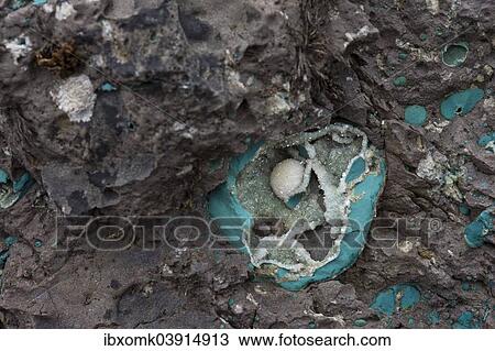 "Zeolite geode, minerals, Faroe Islands, Denmark, Europe" View Large Photo Image Stock Image - "Zeolite geode, minerals, Faroe Islands, Denmark, Europe". Fotosearch