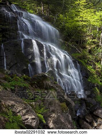 "Zweribach waterfalls at Mt Kandel, Black Forest, Baden-Wuerttemberg, Germany, Europe" View Large Photo Image Stock Image - "Zweribach waterfalls at Mt Kandel, Black Forest, Baden-Wuerttemberg, Germany, Europe". Fotosearch