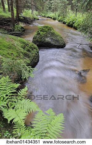 Stock Image - "Zwettlbach brook, Gross Gerungs, Waldviertel region, Lower Austria, Austria, Europe". Fotosearch