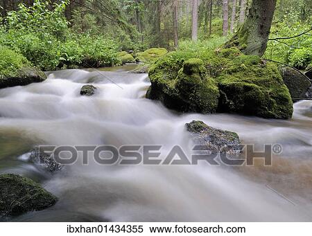 "Zwettlbach brook, Gross Gerungs, Waldviertel region, Lower Austria, Austria, Europe" View Large Photo Image Stock Photography - "Zwettlbach brook, Gross Gerungs, Waldviertel region, Lower Austria, Austria, Europe". Fotosearch