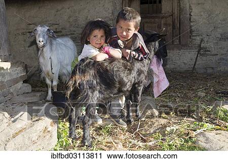 "2 local children taking care of their goats, Sete, Solukhumbu District, Sagarmatha Zone, Nepal, Asia" View Large Photo Image Stock Image - "2 local children taking care of their goats, Sete, Solukhumbu District, Sagarmatha Zone, Nepal, Asia". Fotosearch