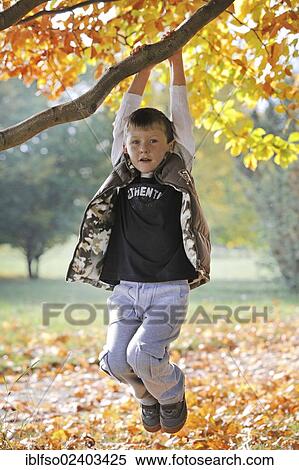 "6-year-old boy hanging from a branch and rocking, Thuringia, Germany, Europe" View Large Photo Image Stock Photography - "6-year-old boy hanging from a branch and rocking, Thuringia, Germany, Europe". Fotosearch