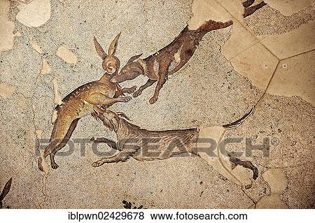"6th century Byzantine Roman hare hunt mosaics from the peristyle of the Great Palace from the reign of Emperor Justinian I., Istanbul, Turkey, Asia" View Large Photo Image Stock Photo - "6th century Byzantine Roman hare hunt mosaics from the peristyle of the Great Palace from the reign of Emperor Justinian I., Istanbul, Turkey, Asia". Fotosearch