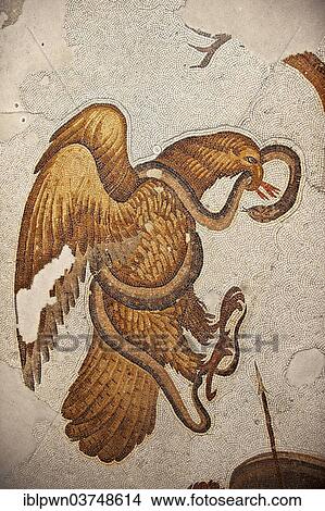 "6th century Byzantine Roman mosaic of an eagle catching a snake, from the peristyle of the Great Palace from the reign of Emperor Justinian I, UNESCO World Heritage Site, Istanbul, Turkey, Asia" View Large Photo Image Picture - "6th century Byzantine Roman mosaic of an eagle catching a snake, from the peristyle of the Great Palace from the reign of Emperor Justinian I, UNESCO World Heritage Site, Istanbul, Turkey, Asia". Fotosearch