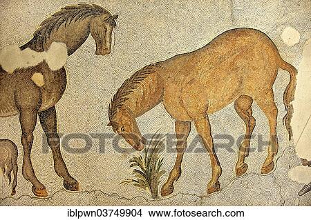 "6th century Byzantine Roman mosaic of horses, from the peristyle of the Great Palace from the reign of Emperor Justinian I, UNESCO World Heritage Site, Istanbul, Turkey, Asia" View Large Photo Image Picture - "6th century Byzantine Roman mosaic of horses, from the peristyle of the Great Palace from the reign of Emperor Justinian I, UNESCO World Heritage Site, Istanbul, Turkey, Asia". Fotosearch