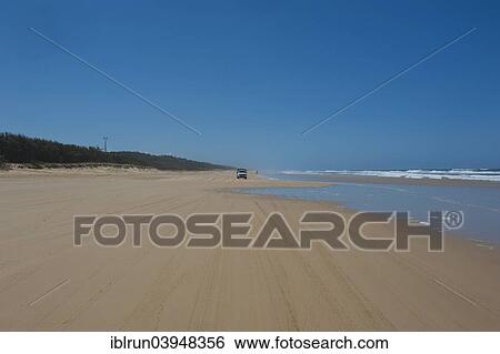 "75 Mile Beach, Fraser Island, Queensland, Australia, Oceania" View Large Photo Image Stock Photograph - "75 Mile Beach, Fraser Island, Queensland, Australia, Oceania". Fotosearch
