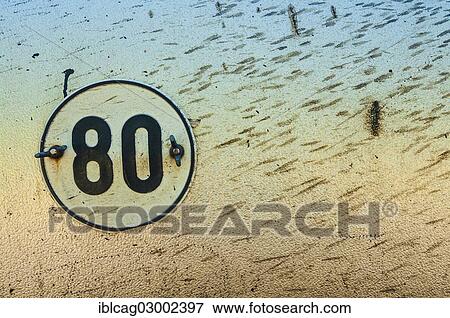 80km/h speed limit badge on an old trailer View Large Photo Image Stock Photo - 80km/h speed limit badge on an old trailer. Fotosearch