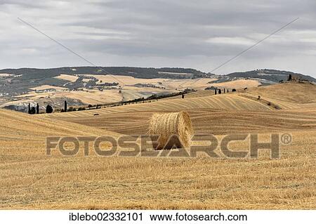 Stock Image - "A bale of straw, harvested wheat fields, landscape near Radicofani and Monte Amiata, province of Siena and Grosseto, Tuscany, Italy, Europe". Fotosearch