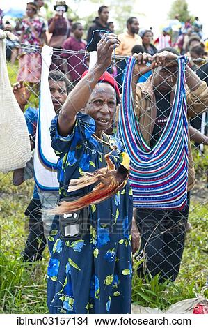 "A Bird-of-Paradise (Paradisaeidae) as amusement for spectators at the traditional sing-sing gathering, Hochland, Mount Hagen, Western Highlands Province, Papua New Guinea, Oceania" View Large Photo Image Picture - "A Bird-of-Paradise (Paradisaeidae) as amusement for spectators at the traditional sing-sing gathering, Hochland, Mount Hagen, Western Highlands Province, Papua New Guinea, Oceania". Fotosearch