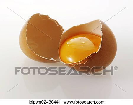 "A broken, fresh organic egg from a Burford-Brown Hen free range" View Large Photo Image Stock Image - "A broken, fresh organic egg from a Burford-Brown Hen free range". Fotosearch