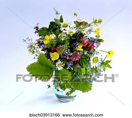 A colourful bouquet of wild flowers View Large Photo Image Stock Photograph - A colourful bouquet of wild flowers. Fotosearch