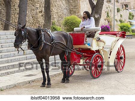 "A driver waiting in his coach, Palma de Majorca, Majorca, Balearic Islands, Spain, Europe" View Large Photo Image Stock Photo - "A driver waiting in his coach, Palma de Majorca, Majorca, Balearic Islands, Spain, Europe". Fotosearch