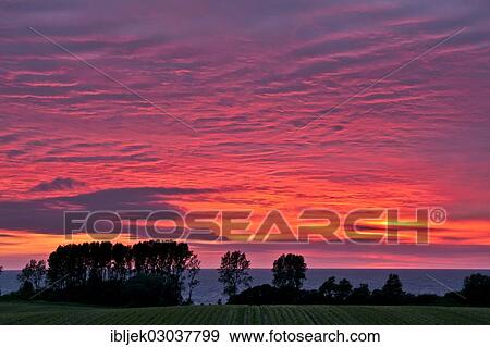 "A field on the Baltic Sea at sunset, Rerik, Mecklenburg-Western Pomerania, Germany, Europe" View Large Photo Image Stock Photo - "A field on the Baltic Sea at sunset, Rerik, Mecklenburg-Western Pomerania, Germany, Europe". Fotosearch
