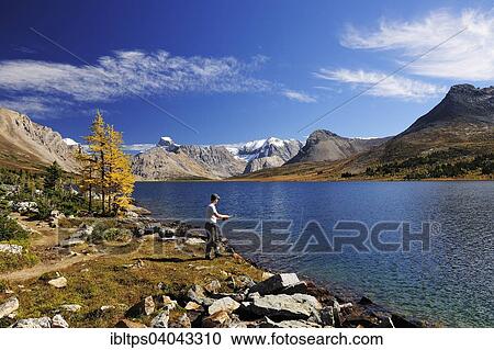 "A fisherman with a fishing rod is standing on the banks of Ptarmigan Lake, Rocky Mountains, Banff National Park, Alberta, Canada, North America" View Large Photo Image Stock Image - "A fisherman with a fishing rod is standing on the banks of Ptarmigan Lake, Rocky Mountains, Banff National Park, Alberta, Canada, North America". Fotosearch