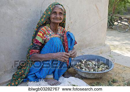 "A friendly elderly woman in traditional dress sitting on the ground sorting small melons, Rann of Kutch, Gujarat, India, Asia" View Large Photo Image Stock Photo - "A friendly elderly woman in traditional dress sitting on the ground sorting small melons, Rann of Kutch, Gujarat, India, Asia". Fotosearch