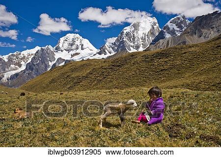 Stock Photography - "A girl of the Quechua Indians sitting with a newborn lamb on a mountain meadow in front of snow-capped mountains, Cordillera Huayhuash, Northern Peru, Peru, South America". Fotosearch
