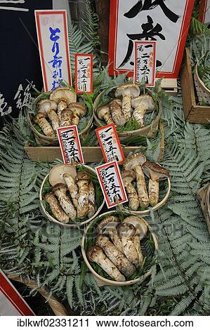 "A gourmet food store offering bamboo shoots and mushrooms, including matsutake, pine mushrooms (Tricholoma matsutake), very expensive mushrooms, Teramachi-Dori shopping street, Kyoto, Japan, East Asia, Asia" View Large Photo Image Stock Image - "A gourmet food store offering bamboo shoots and mushrooms, including matsutake, pine mushrooms (Tricholoma matsutake), very expensive mushrooms, Teramachi-Dori shopping street, Kyoto, Japan, East Asia, Asia". Fotosearch
