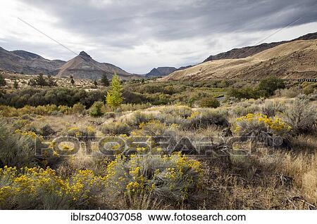 "A hill of the Painted Hills, John Deer Fossil Beds, Oregon, United States, North America" View Large Photo Image Stock Photo - "A hill of the Painted Hills, John Deer Fossil Beds, Oregon, United States, North America". Fotosearch