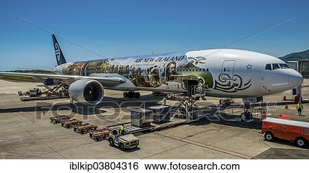"A Hobbit-themed plane from Air New Zealand, Nadi Airport, Fiji, Oceania" View Large Photo Image Stock Photograph - "A Hobbit-themed plane from Air New Zealand, Nadi Airport, Fiji, Oceania". Fotosearch