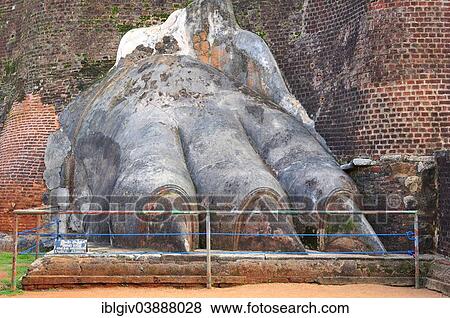 Stock Photo - "A huge stone lion's paw, during the ascent to the fort on the Lion Rock, Sigiriya, UNESCO World Heritage Site, Sigiriya, Central Province, Sri Lanka, Asia". Fotosearch