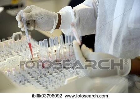 "A lab technician is analysing blood samples in a laboratory, Red Cross blood donation centre, Port-au-Prince, Haiti, North America" View Large Photo Image Stock Image - "A lab technician is analysing blood samples in a laboratory, Red Cross blood donation centre, Port-au-Prince, Haiti, North America". Fotosearch