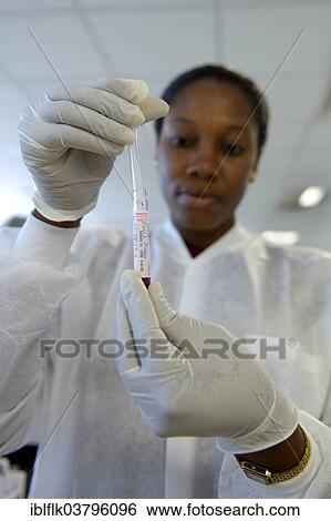 "A lab technician is analysing blood samples in a laboratory, Red Cross blood donation centre, Port-au-Prince, Haiti, North America" View Large Photo Image Stock Photograph - "A lab technician is analysing blood samples in a laboratory, Red Cross blood donation centre, Port-au-Prince, Haiti, North America". Fotosearch