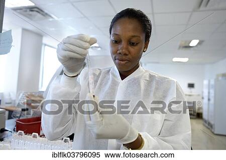 "A lab technician is analysing blood samples in a laboratory, Red Cross blood donation centre, Port-au-Prince, Haiti, North America" View Large Photo Image Stock Photography - "A lab technician is analysing blood samples in a laboratory, Red Cross blood donation centre, Port-au-Prince, Haiti, North America". Fotosearch
