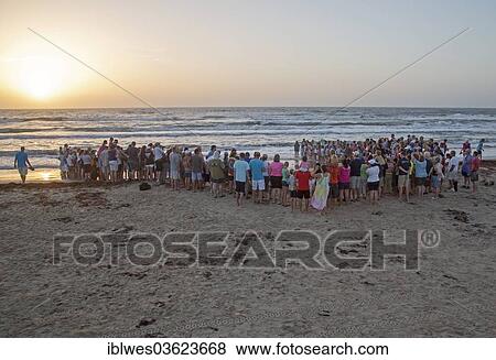 "A large crowd gathering as staff and volunteers release newly-hatched turtles into the Gulf of Mexico at dawn, South Padre Island, Texas, United States, North America" View Large Photo Image Stock Photo - "A large crowd gathering as staff and volunteers release newly-hatched turtles into the Gulf of Mexico at dawn, South Padre Island, Texas, United States, North America". Fotosearch