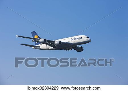 "A Lufthansa Airbus A380 landing at Frankfurt Airport, Frankfurt, Hesse, Germany, Europe" View Large Photo Image Stock Photo - "A Lufthansa Airbus A380 landing at Frankfurt Airport, Frankfurt, Hesse, Germany, Europe". Fotosearch
