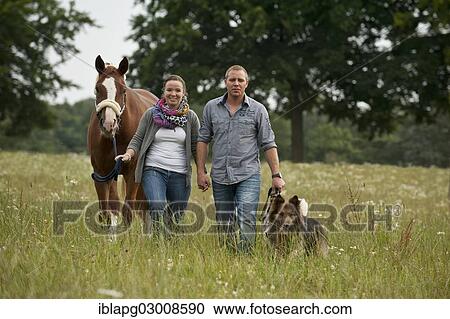"A man and a women walking across a meadow with a horse and dogs, Germany, Europe" View Large Photo Image Stock Image - "A man and a women walking across a meadow with a horse and dogs, Germany, Europe". Fotosearch