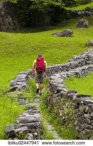 Stock Image - "A man hiking along a Mulattiera near Sabbione, Bavona Valley, Val Bavona, Maggia Valley, Valle Maggia, Ticino, Switzerland, Europe". Fotosearch
