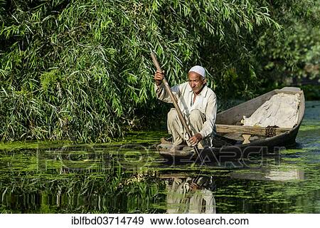 Stock Photo - "A man paddeling in a shikara boat on a canal near Dal Lake, Srinagar, Jammu and Kashmir, India, Asia". Fotosearch