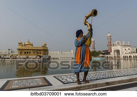 "A Nihang, a member of an armed Sikh order, blowing a big brass horn, Harmandir Sahib or Golden Temple at the back, Amritsar, Punjab, India, Asia" View Large Photo Image Stock Image - "A Nihang, a member of an armed Sikh order, blowing a big brass horn, Harmandir Sahib or Golden Temple at the back, Amritsar, Punjab, India, Asia". Fotosearch