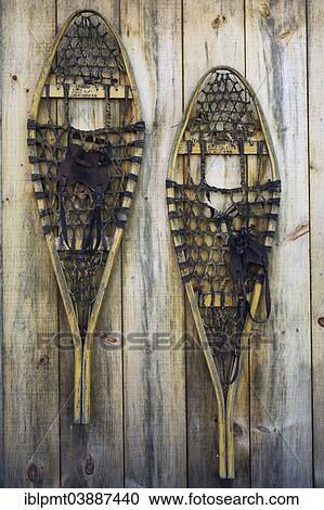 "A pair of old wooden snowshoes hanging on the pine board wall of a storage shed, Laurentians, Quebec, Canada, North America" View Large Photo Image Stock Image - "A pair of old wooden snowshoes hanging on the pine board wall of a storage shed, Laurentians, Quebec, Canada, North America". Fotosearch