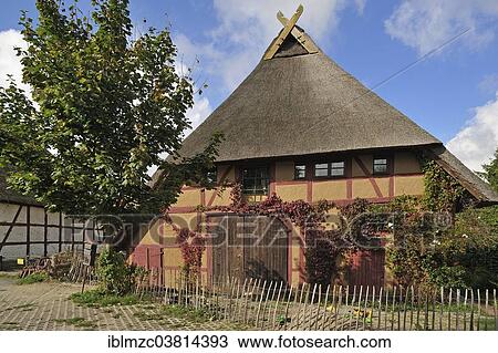 "A renovated thatched farmhouse in a village square, Vitense, Mecklenburg-Vorpommern, Germany, Europe" View Large Photo Image Stock Image - "A renovated thatched farmhouse in a village square, Vitense, Mecklenburg-Vorpommern, Germany, Europe". Fotosearch