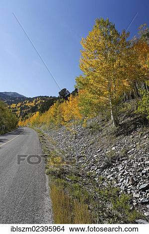 "A road on the Wheeler Peak in fall, Great Basin National Park, Nevada, USA" View Large Photo Image Picture - "A road on the Wheeler Peak in fall, Great Basin National Park, Nevada, USA". Fotosearch
