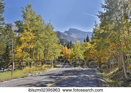 "A road on the Wheeler Peak in fall, Great Basin National Park, Nevada, USA" View Large Photo Image Stock Image - "A road on the Wheeler Peak in fall, Great Basin National Park, Nevada, USA". Fotosearch
