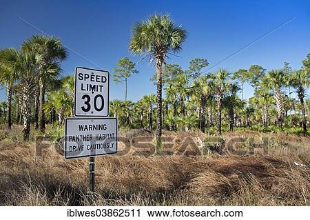 Stock Image - "A road sign in the Picayune Strand State Forest warns drivers to drive carefully to protect the endangered Florida Panther, Naples, Florida, United States, North America". Fotosearch