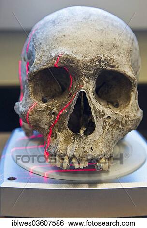 "A scanner making a 3D photograph of the skull of an unidentified migrant, Baylor University, Waco, Texas, United States, North America" View Large Photo Image Stock Photograph - "A scanner making a 3D photograph of the skull of an unidentified migrant, Baylor University, Waco, Texas, United States, North America". Fotosearch