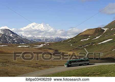 "A shuttle bus crossing the Denali National Park and Preserve with views of Mt McKinley at back, Denali National Park, Alaska, United States, North America" View Large Photo Image Stock Photo - "A shuttle bus crossing the Denali National Park and Preserve with views of Mt McKinley at back, Denali National Park, Alaska, United States, North America". Fotosearch