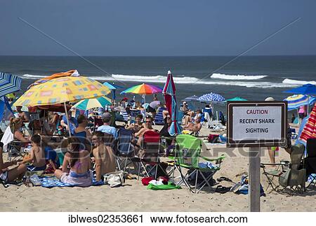 "A sign warns of recent shark sightings at Head of the Meadow Beach in Cape Cod National Seashore, Truro, Massachusetts, USA" View Large Photo Image Stock Image - "A sign warns of recent shark sightings at Head of the Meadow Beach in Cape Cod National Seashore, Truro, Massachusetts, USA". Fotosearch