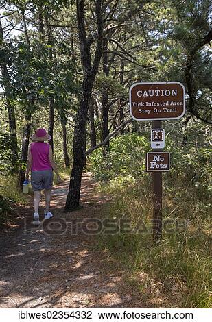 Stock Image - "A sign warns of ticks on the Atlantic White Cedar Swamp hiking trail in Cape Cod National Seashore, Wellfleet, Massachusetts, USA". Fotosearch