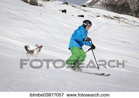 "A skier and his dog with snow goggles on a ski slope, Carosello 3000, Livigno, Lombardy, Italy, Europe" View Large Photo Image Stock Photo - "A skier and his dog with snow goggles on a ski slope, Carosello 3000, Livigno, Lombardy, Italy, Europe". Fotosearch