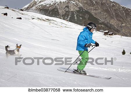 "A skier and his dog with snow goggles on a ski slope, Carosello 3000, Livigno, Lombardy, Italy, Europe" View Large Photo Image Stock Photo - "A skier and his dog with snow goggles on a ski slope, Carosello 3000, Livigno, Lombardy, Italy, Europe". Fotosearch
